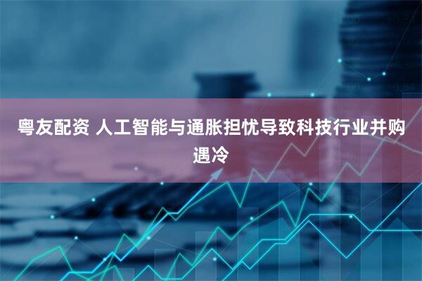 粤友配资 人工智能与通胀担忧导致科技行业并购遇冷